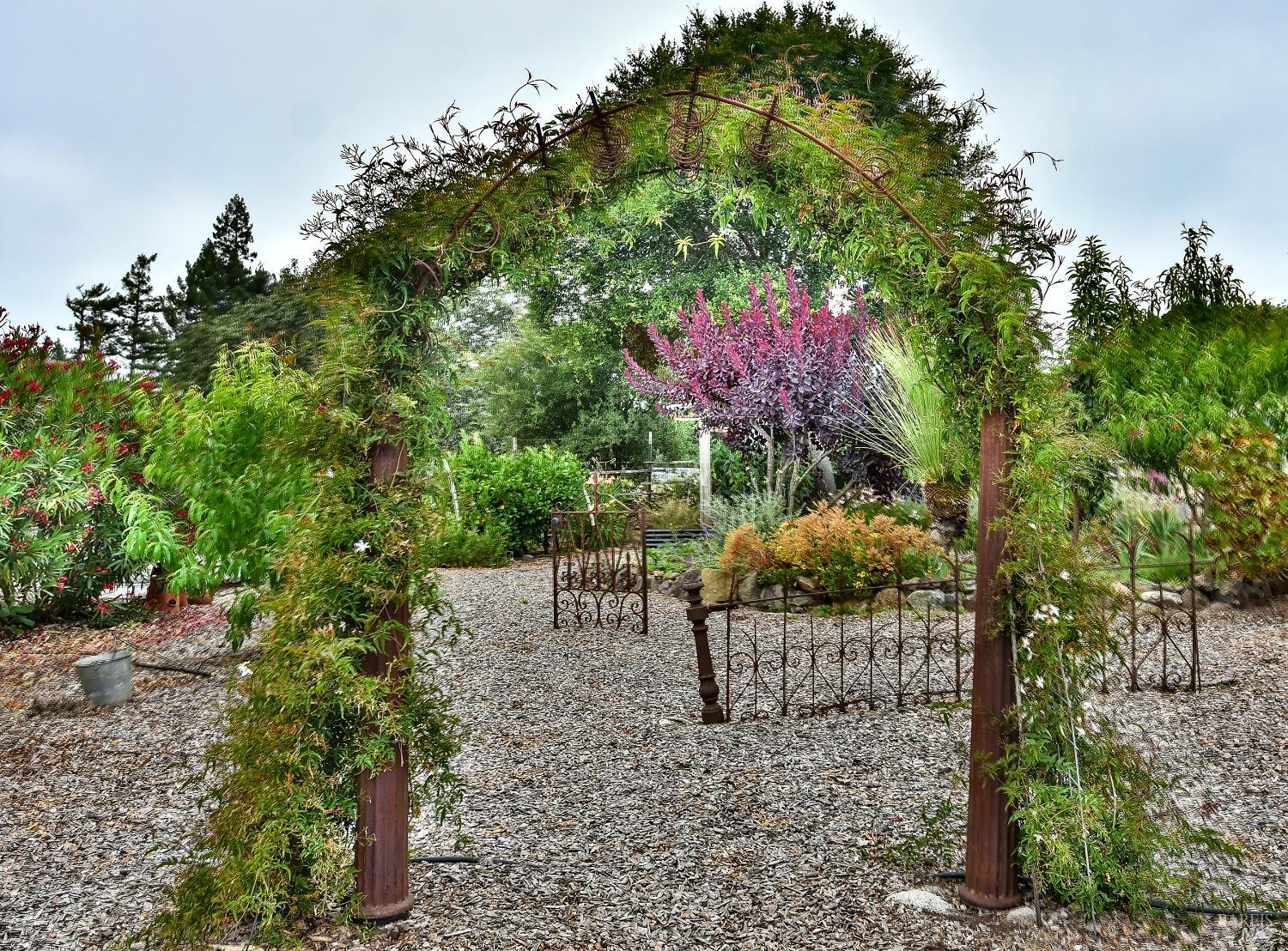 704 Bloomfield Road Sebastopol CA 95472