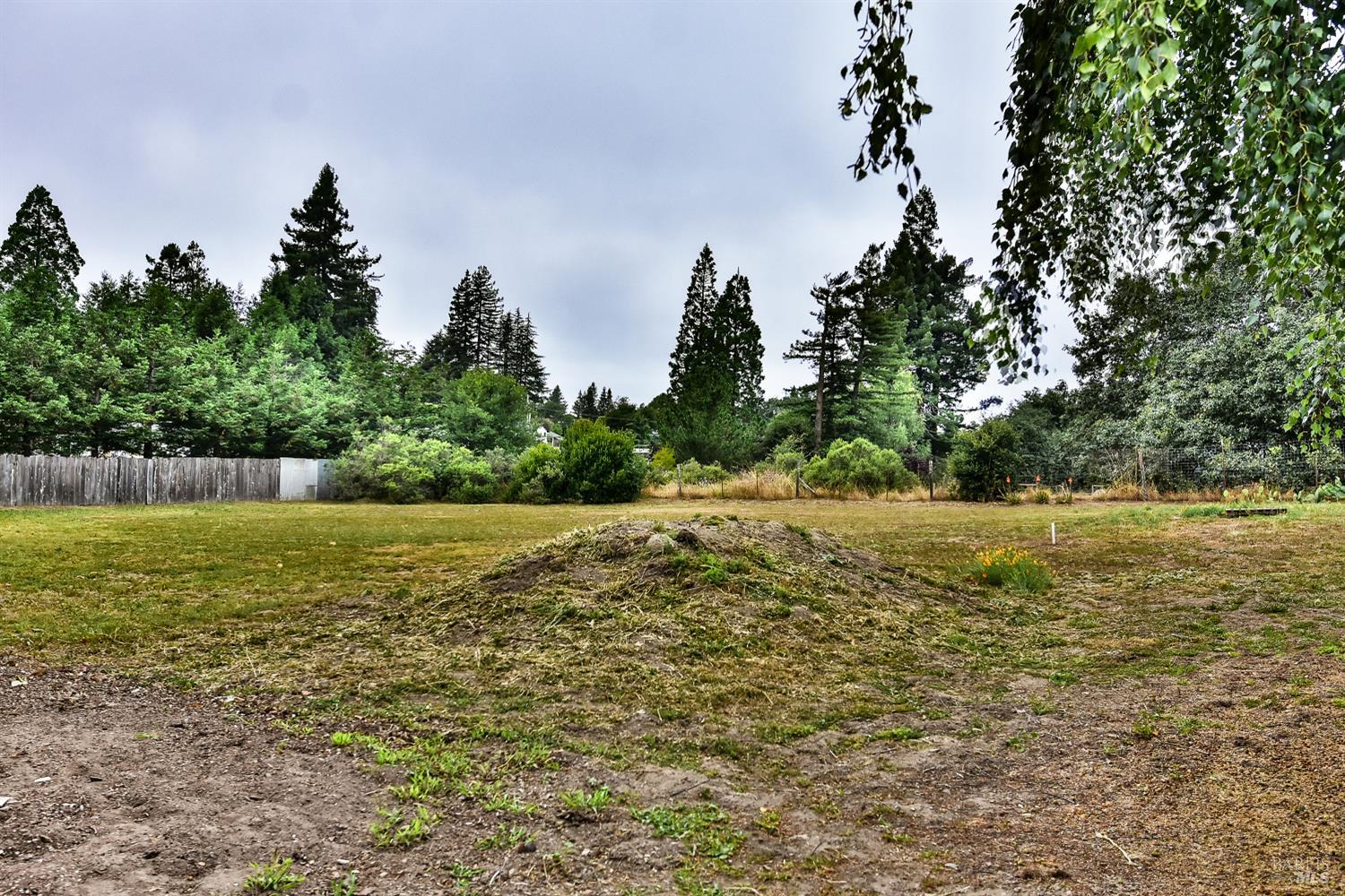 704 Bloomfield Road Sebastopol CA 95472