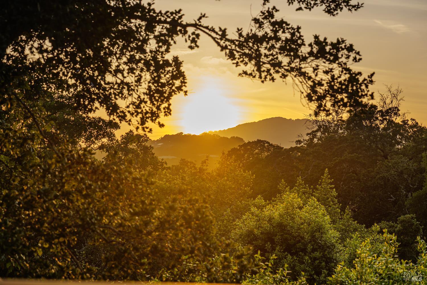 175 Grandview Avenue Novato CA 94945