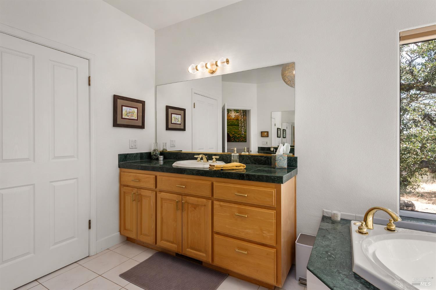 16855 Black Oak Hill Drive Middletown CA 95461