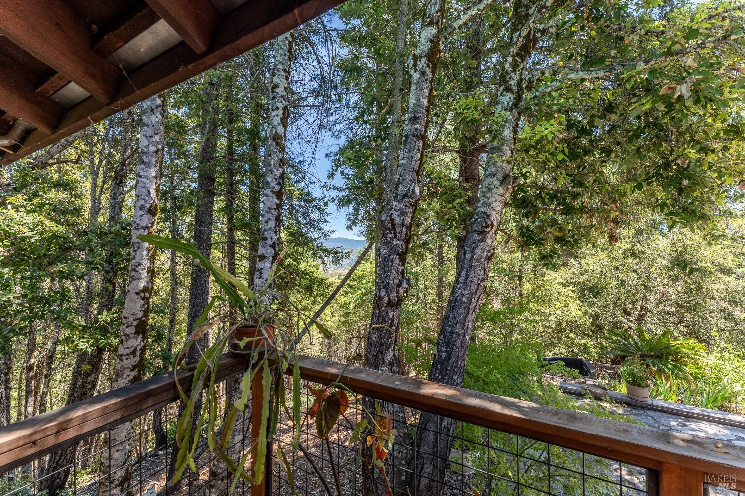 19155 Scenic Drive Redwood Valley CA 95470