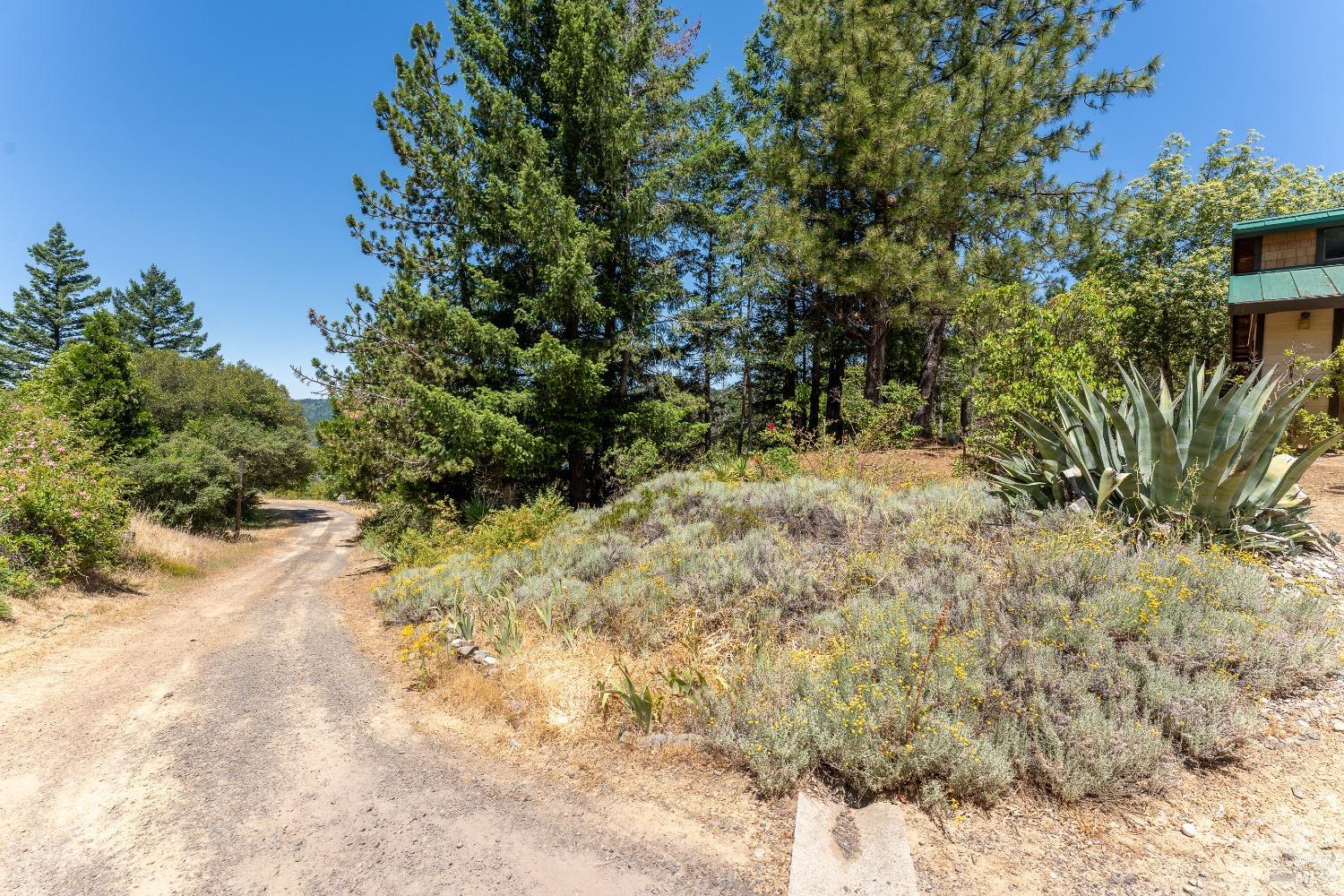 19155 Scenic Drive Redwood Valley CA 95470