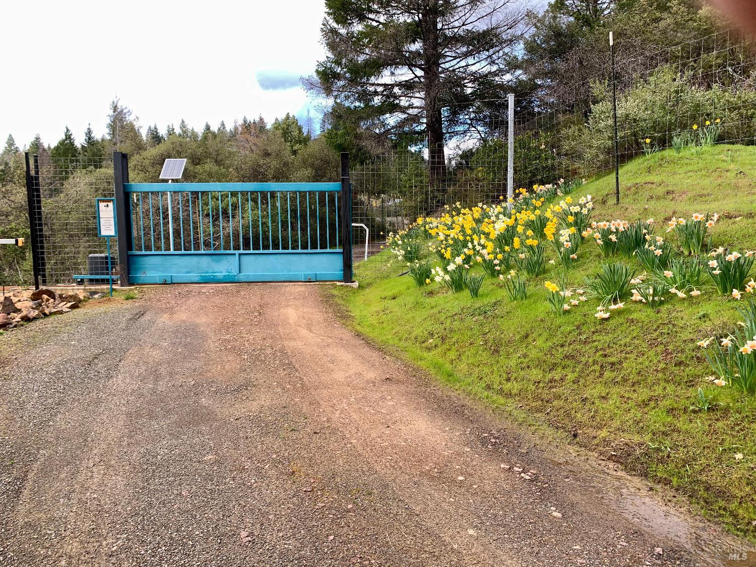 19155 Scenic Drive Redwood Valley CA 95470