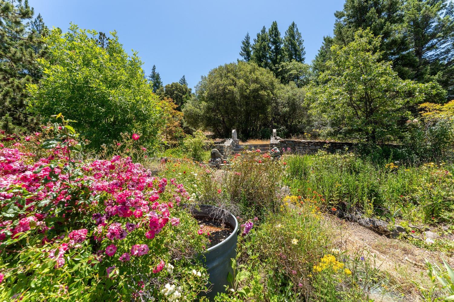 19155 Scenic Drive Redwood Valley CA 95470