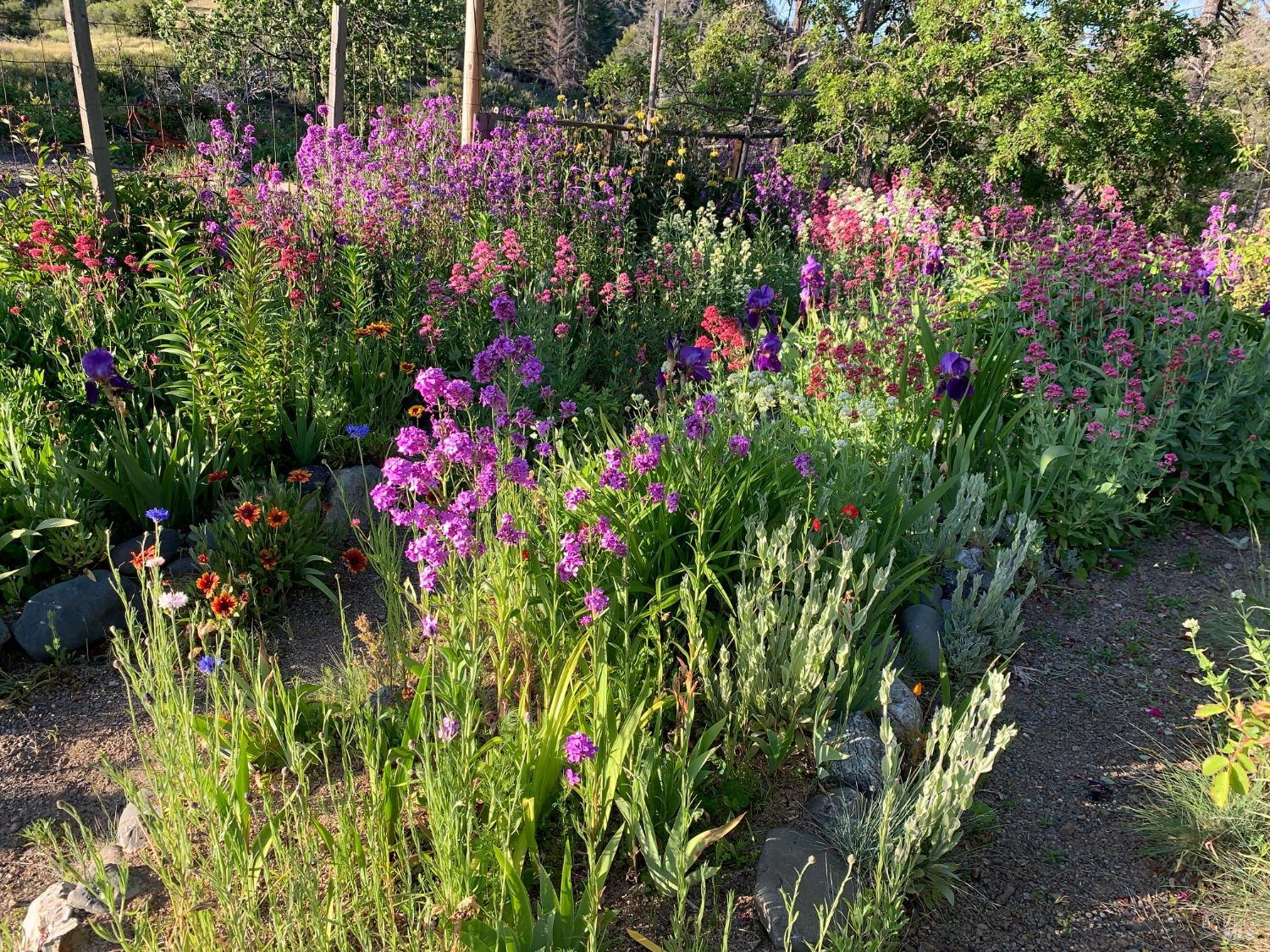 19155 Scenic Drive Redwood Valley CA 95470