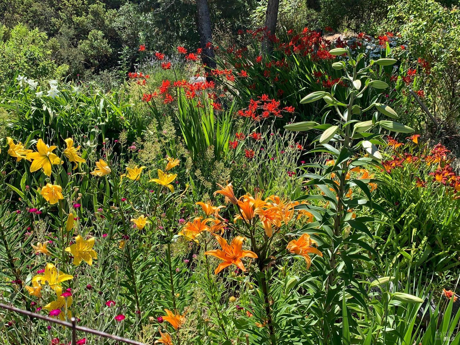 19155 Scenic Drive Redwood Valley CA 95470