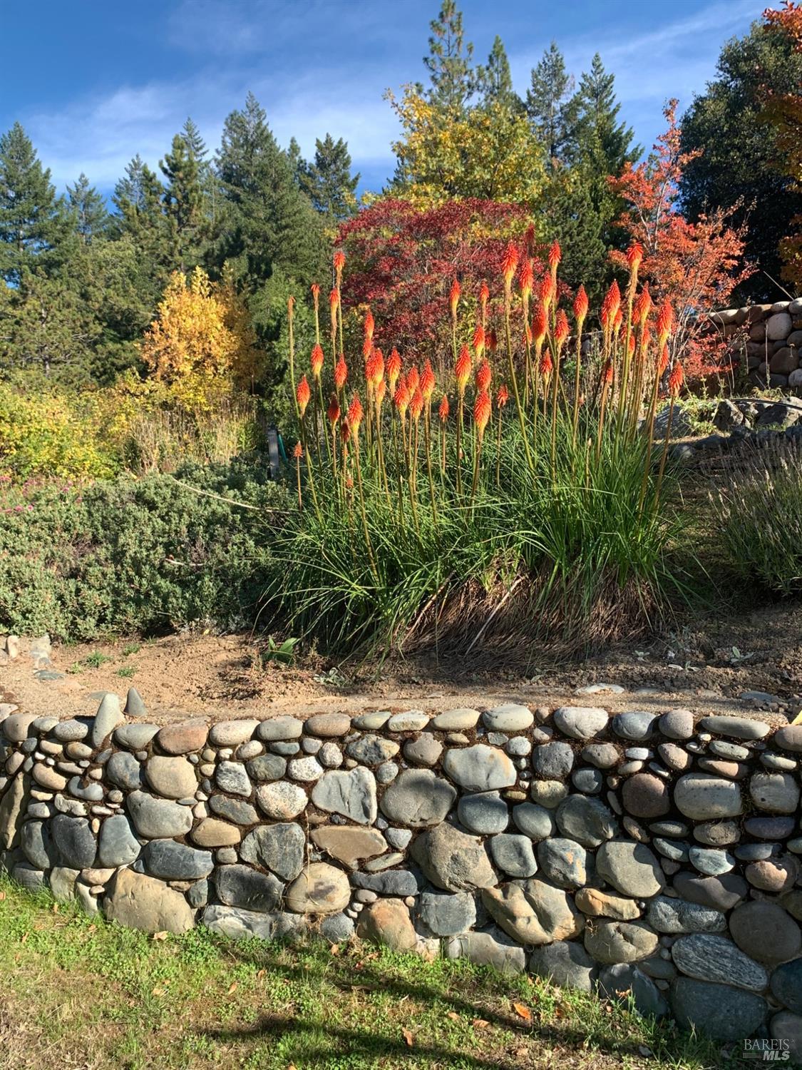19155 Scenic Drive Redwood Valley CA 95470