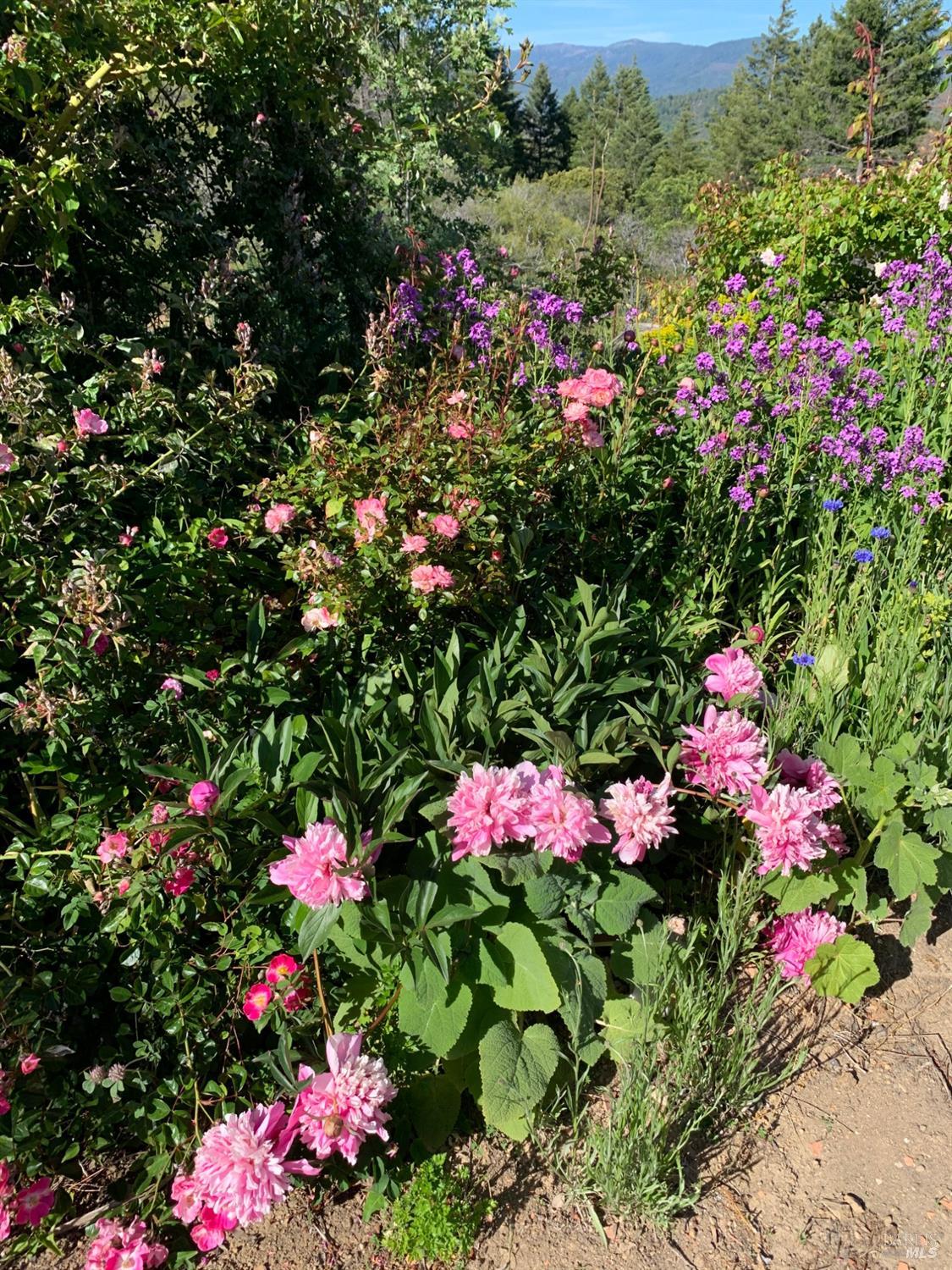 19155 Scenic Drive Redwood Valley CA 95470
