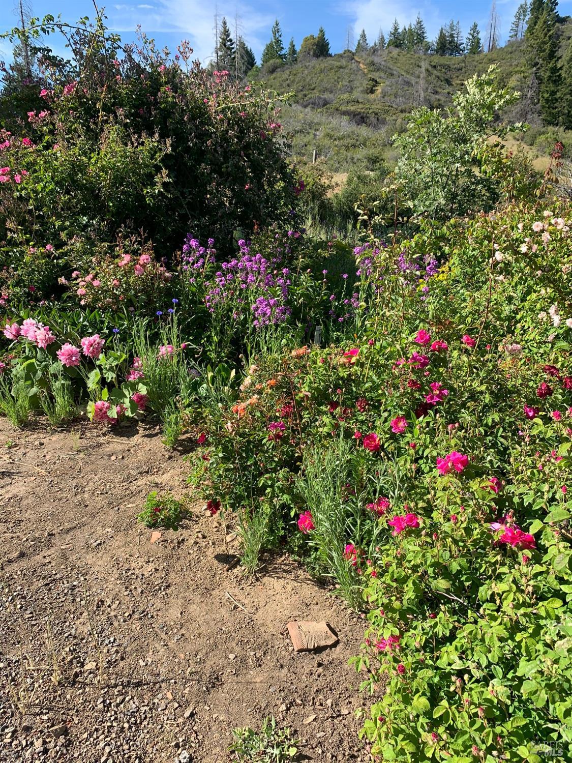 19155 Scenic Drive Redwood Valley CA 95470