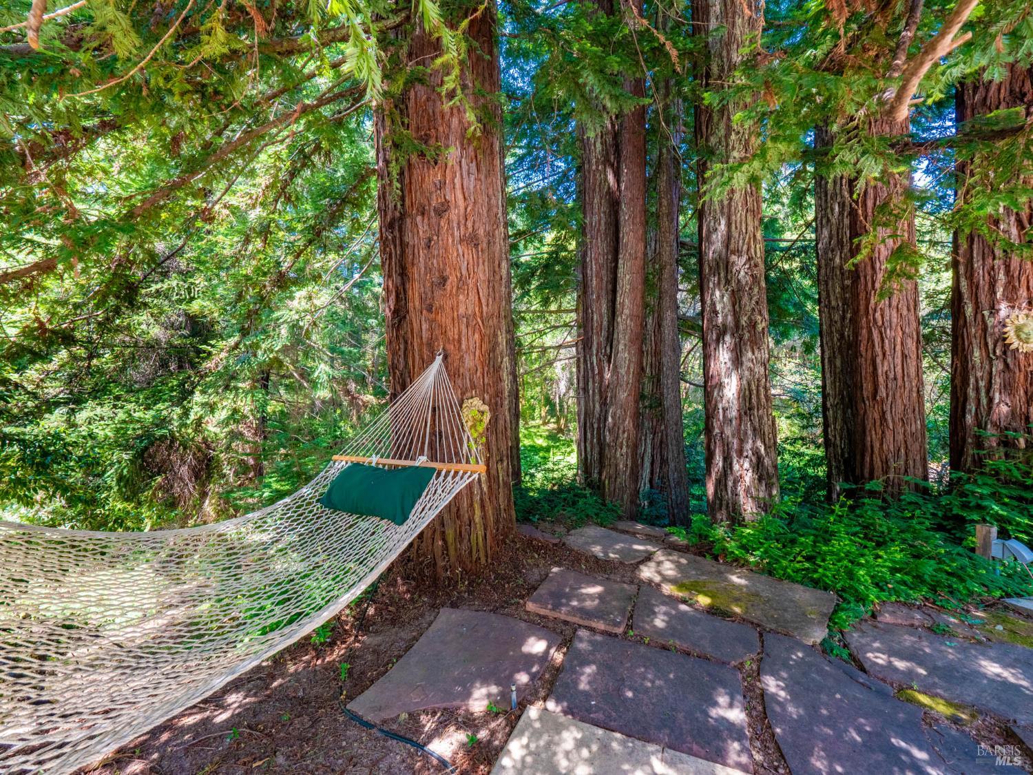2151 Highway 128 Philo CA 95466