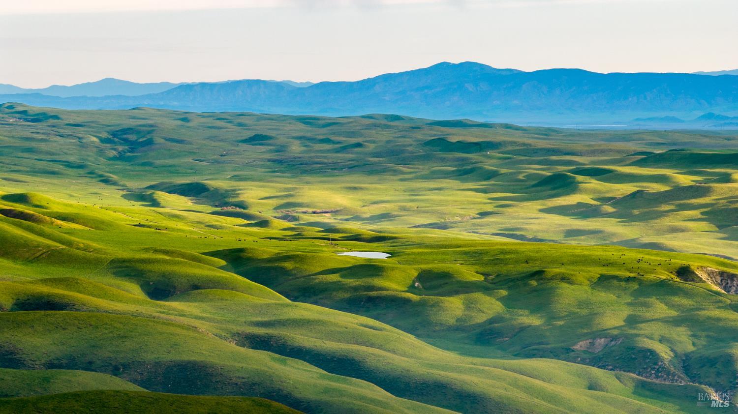 8050 Bitterwater Road Shandon CA 93461
