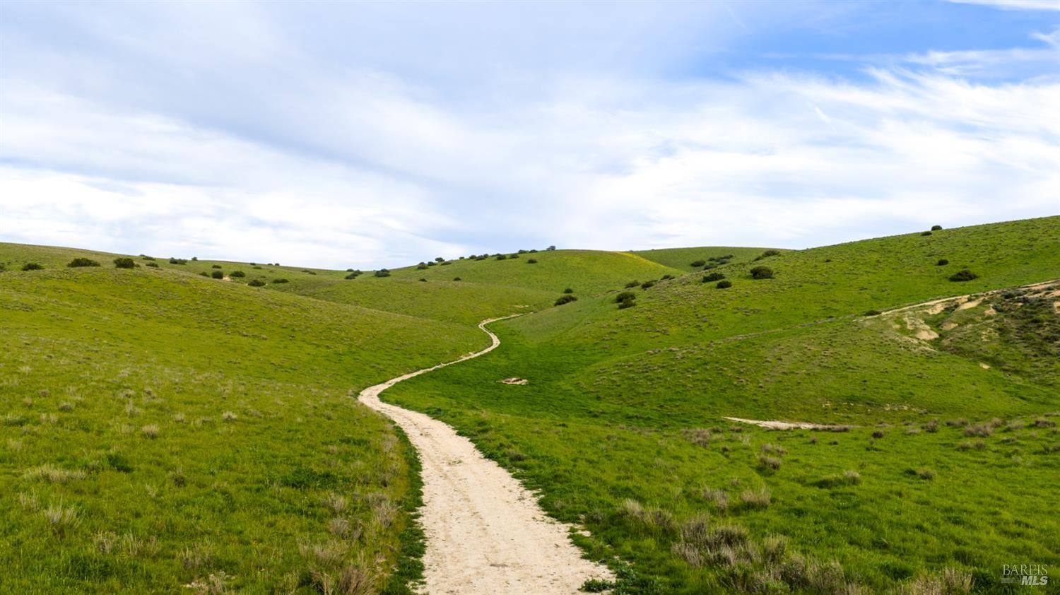 8050 Bitterwater Road Shandon CA 93461