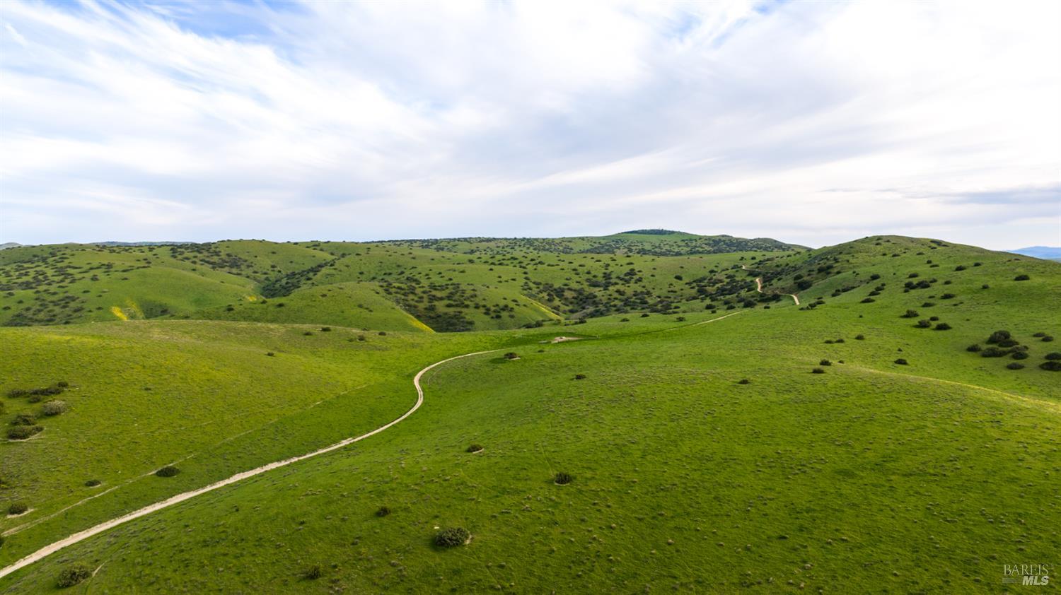 8050 Bitterwater Road Shandon CA 93461