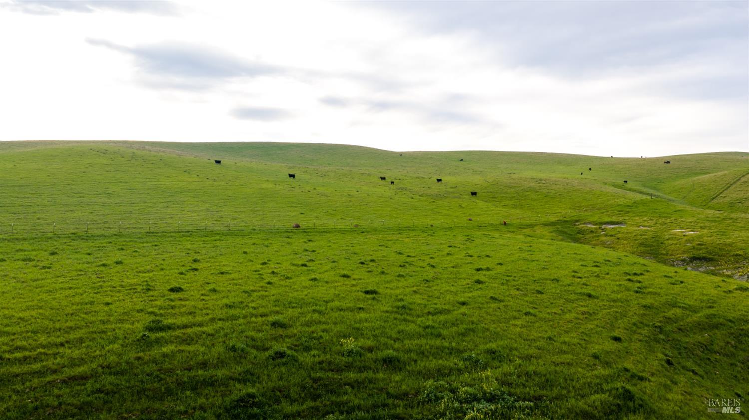 8050 Bitterwater Road Shandon CA 93461