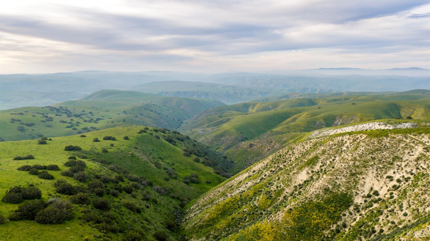 8050 Bitterwater Road Shandon CA 93461