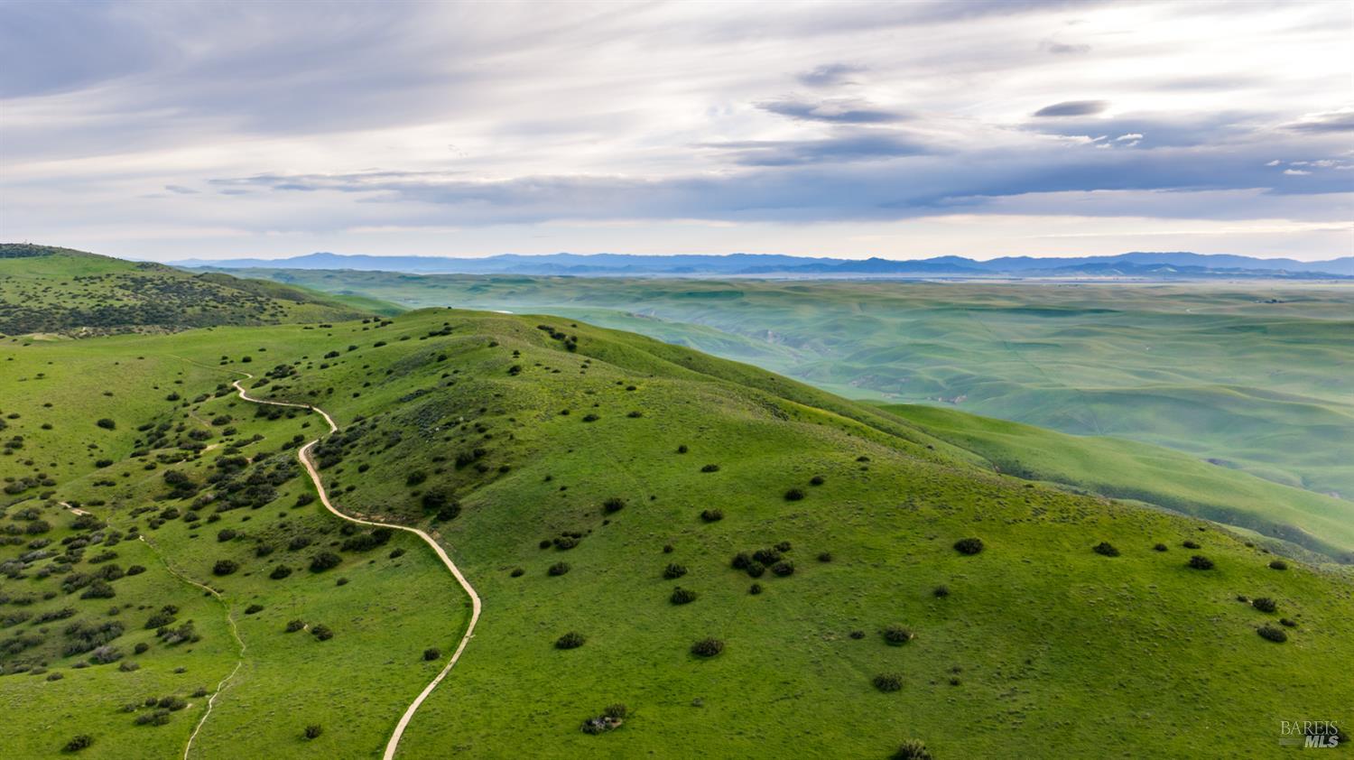 8050 Bitterwater Road Shandon CA 93461