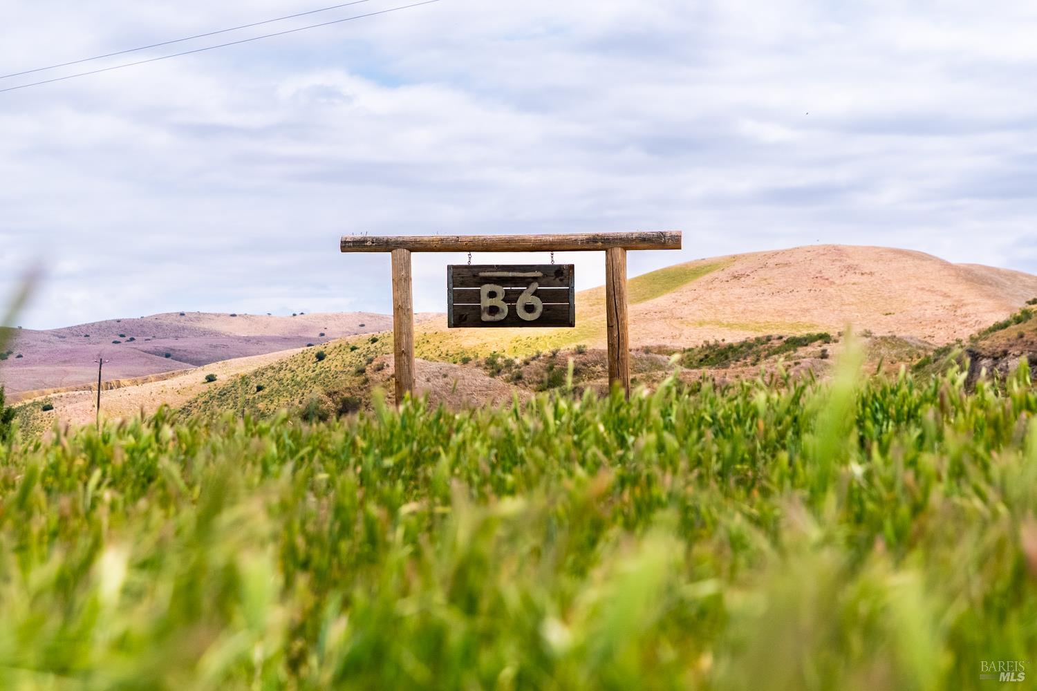 8050 Bitterwater Road Shandon CA 93461