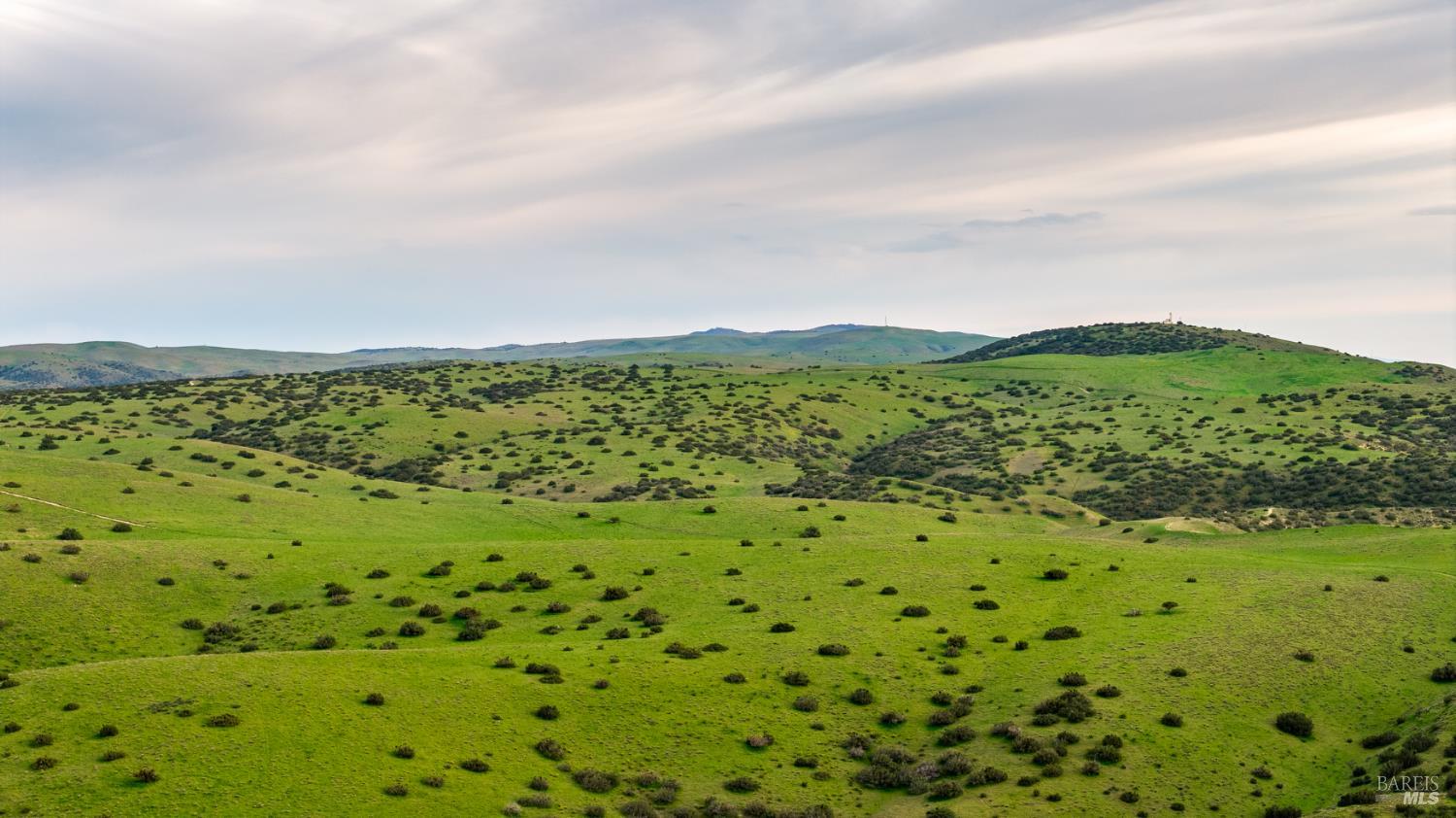8050 Bitterwater Road Shandon CA 93461