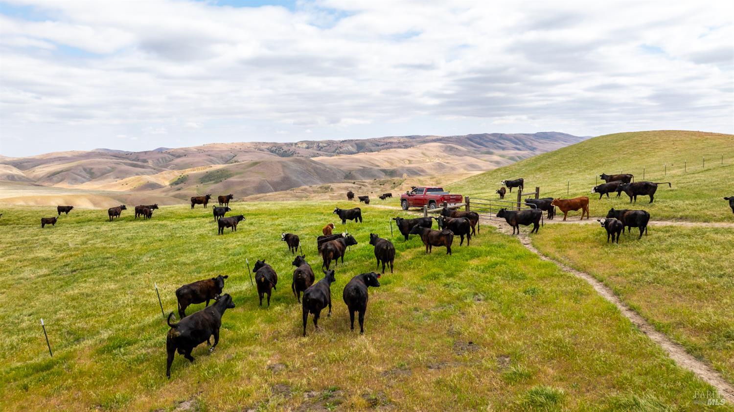 8050 Bitterwater Road Shandon CA 93461