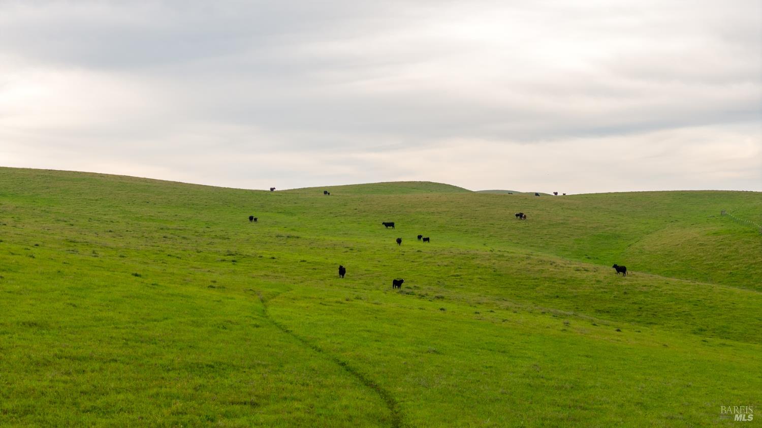 8050 Bitterwater Road Shandon CA 93461