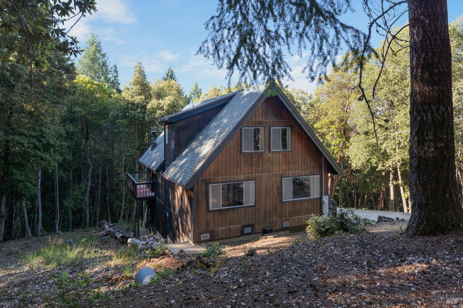 23350 Iris Lane Willits CA 95490