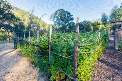 5000 Alpine Road Santa Rosa CA 95404