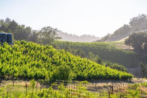 5000 Alpine Road Santa Rosa CA 95404