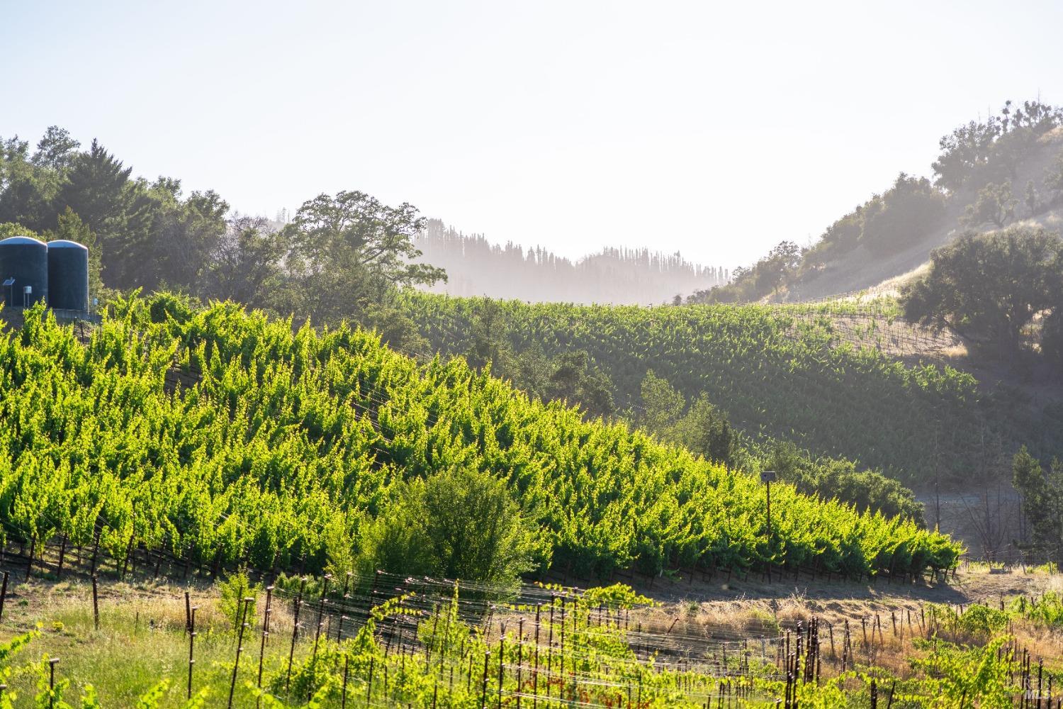 5000 Alpine Road Santa Rosa CA 95404