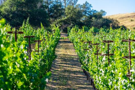 5000 Alpine Road Santa Rosa CA 95404