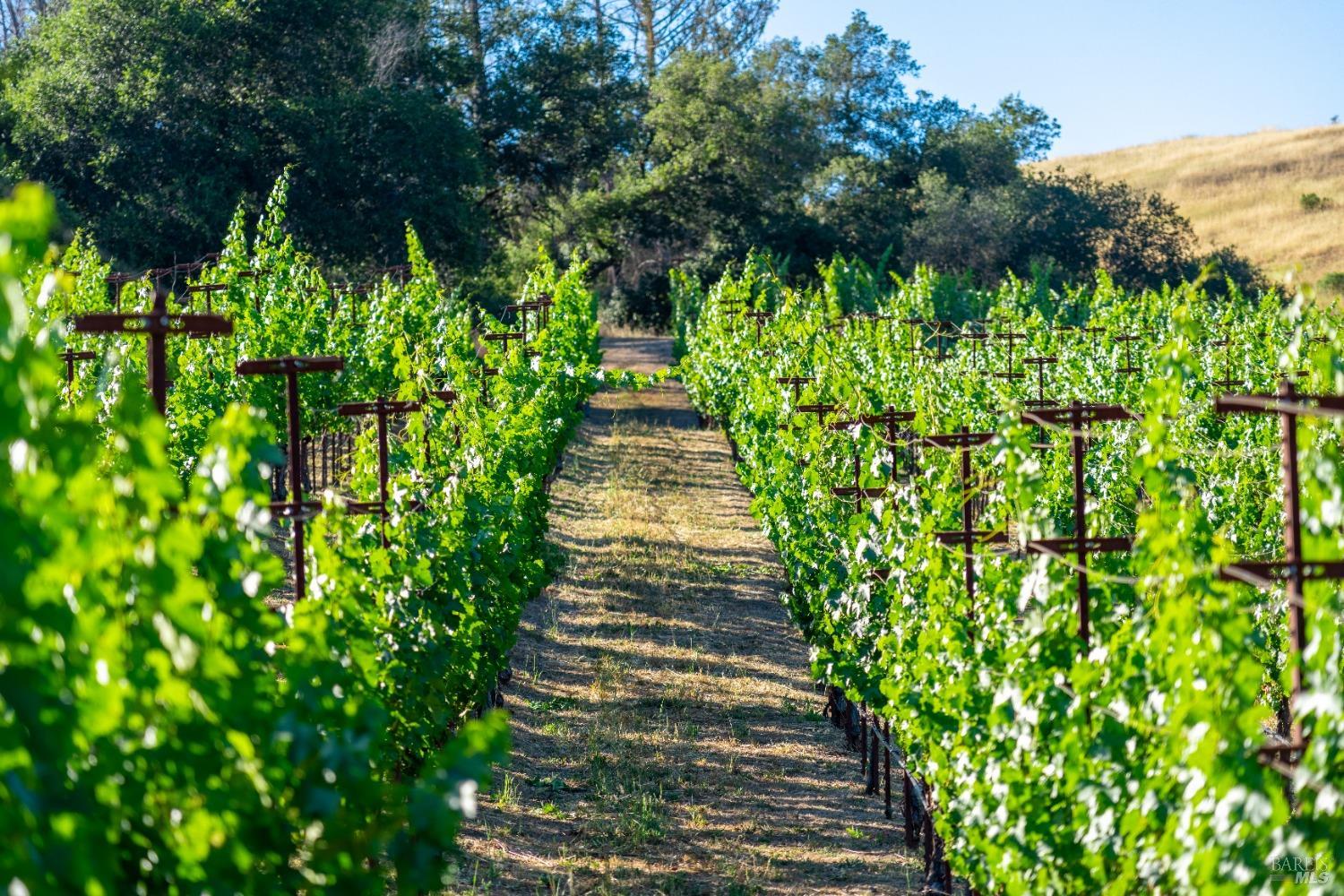 5000 Alpine Road Santa Rosa CA 95404