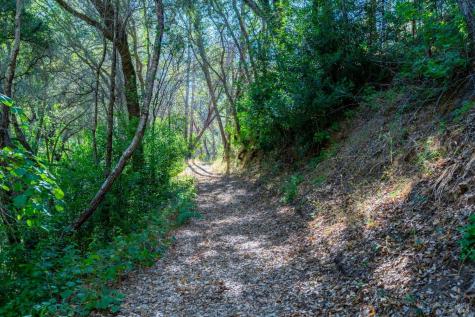 5000 Alpine Road Santa Rosa CA 95404