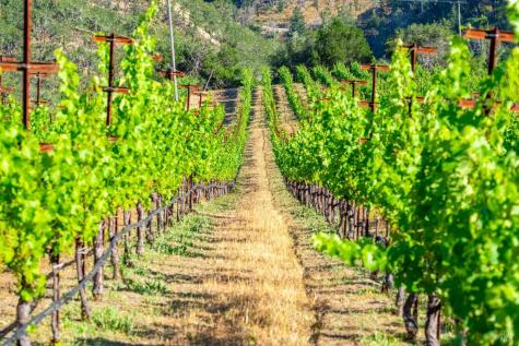 5000 Alpine Road Santa Rosa CA 95404