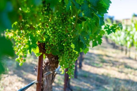 5000 Alpine Road Santa Rosa CA 95404