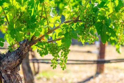 5000 Alpine Road Santa Rosa CA 95404