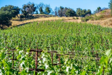 5000 Alpine Road Santa Rosa CA 95404