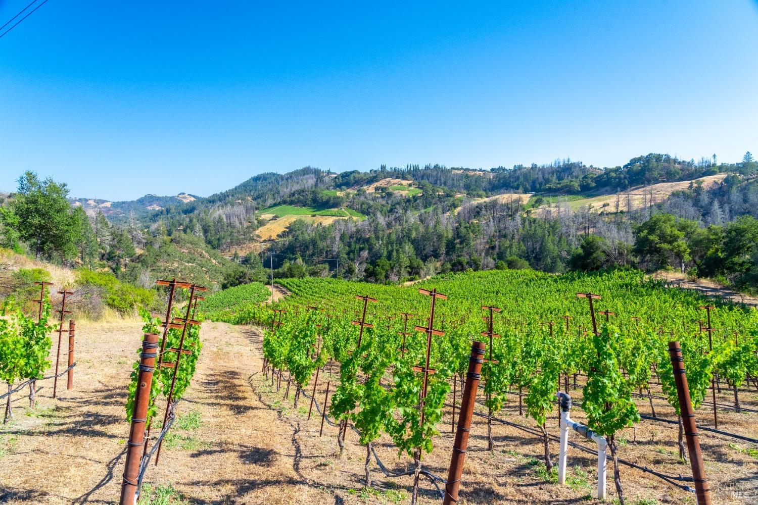 5000 Alpine Road Santa Rosa CA 95404