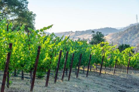 5000 Alpine Road Santa Rosa CA 95404