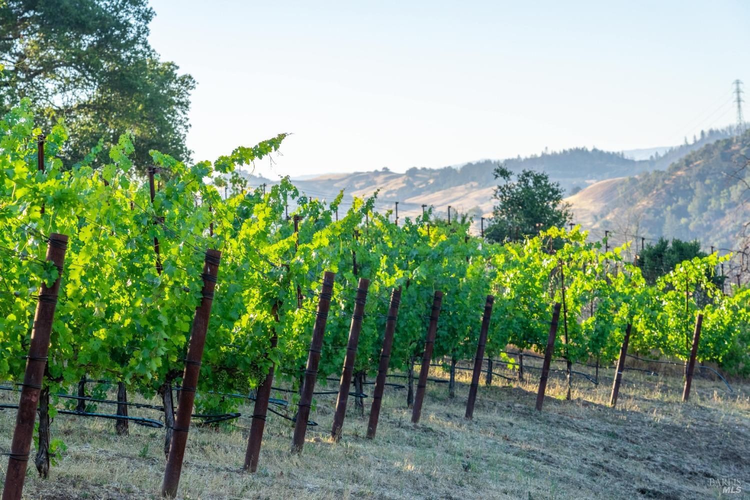5000 Alpine Road Santa Rosa CA 95404