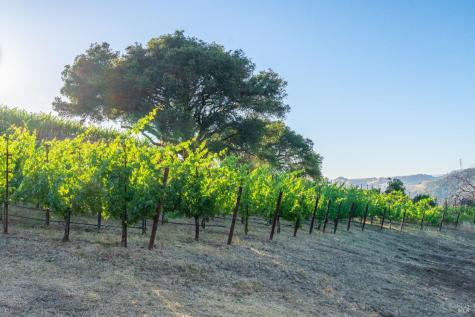 5000 Alpine Road Santa Rosa CA 95404