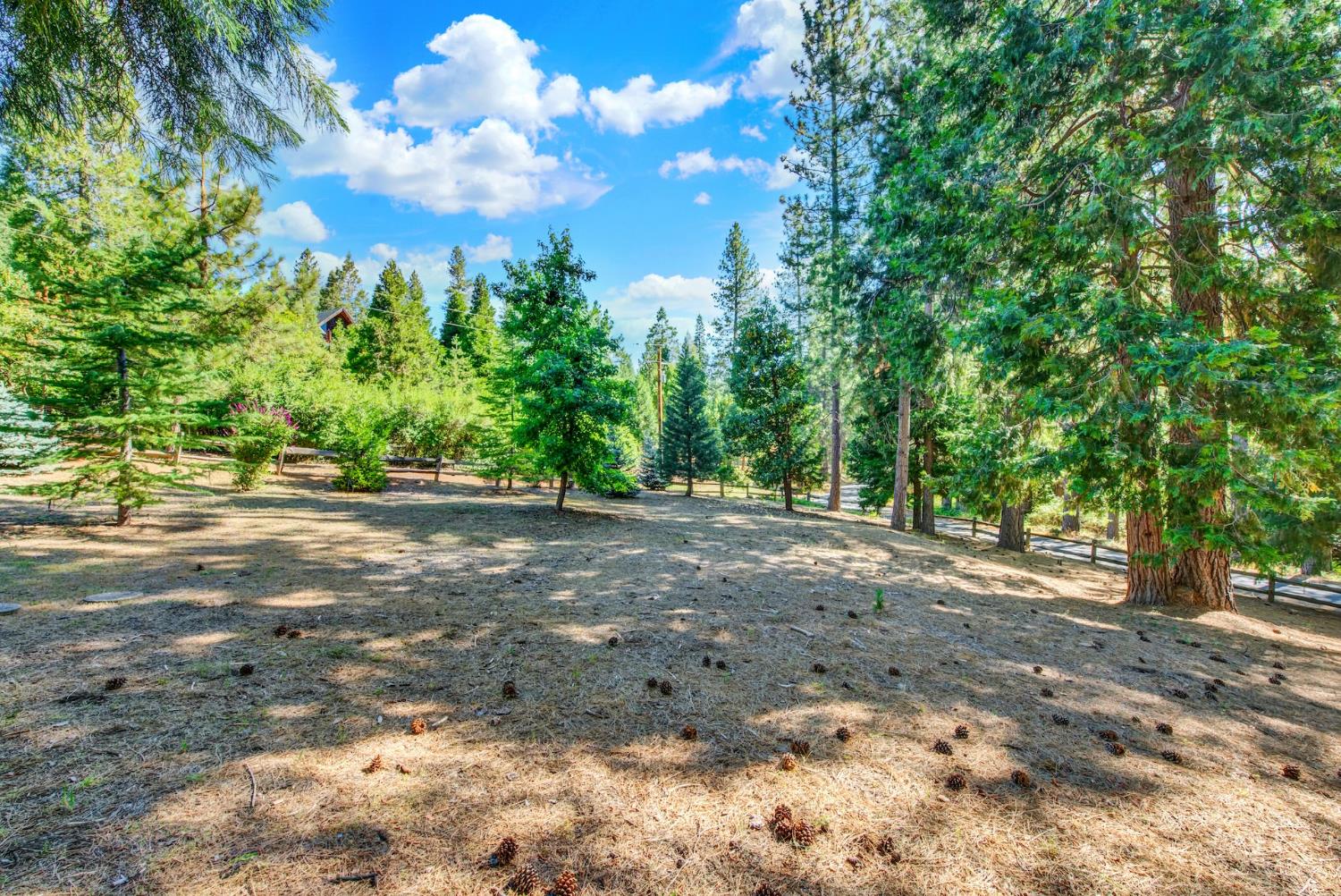 27128 Manzanita Court Pioneer CA 95666