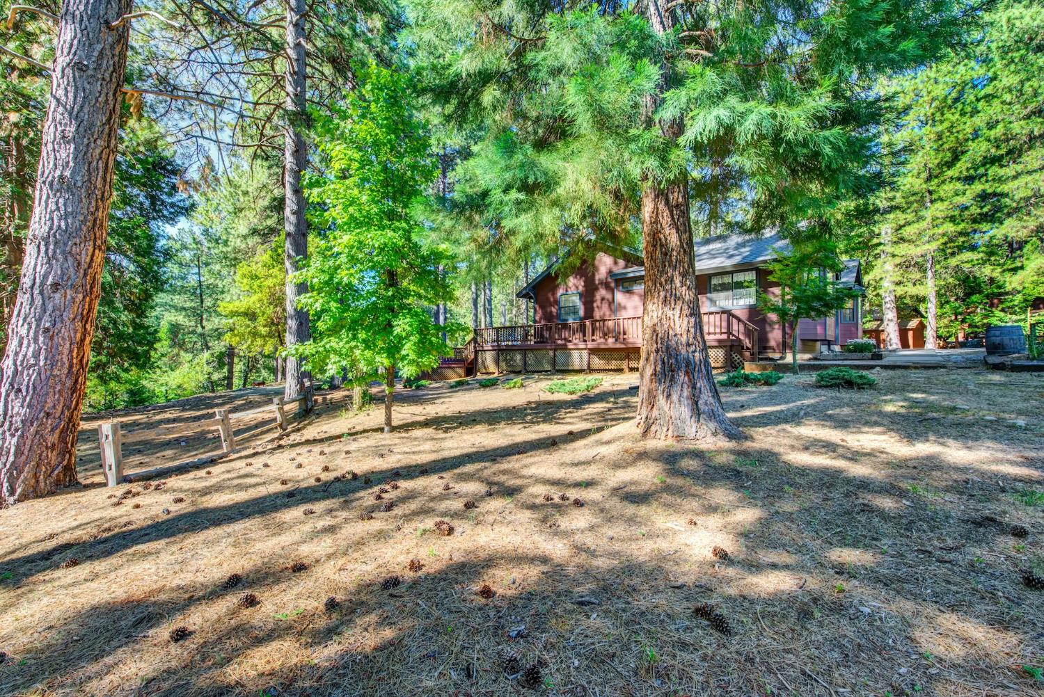 27128 Manzanita Court Pioneer CA 95666