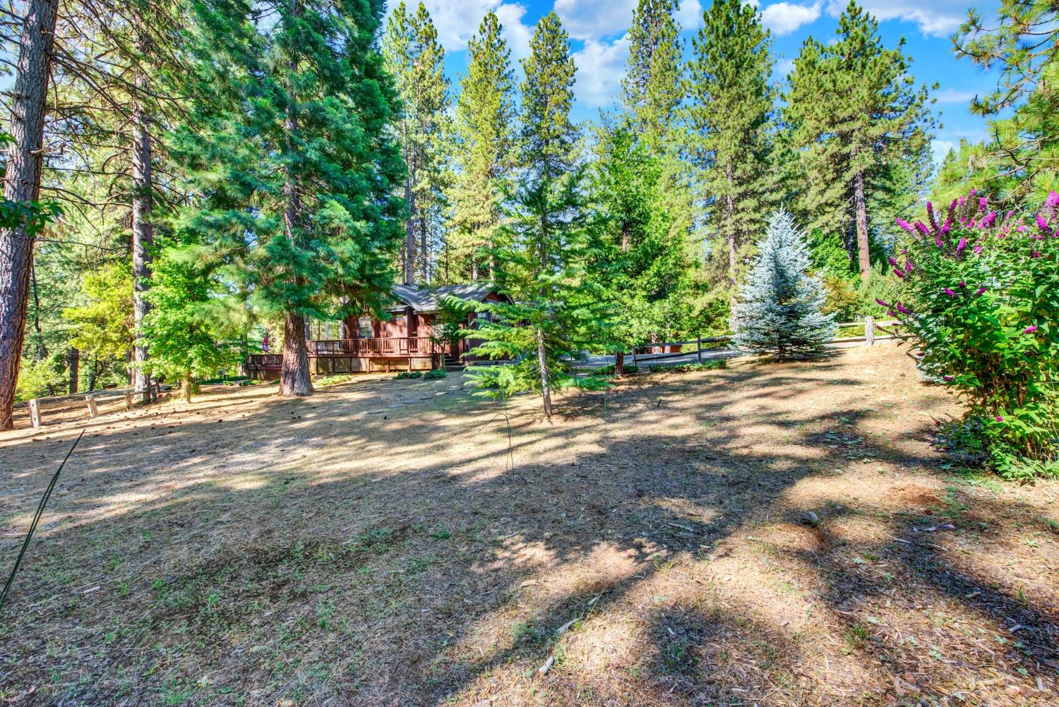27128 Manzanita Court Pioneer CA 95666