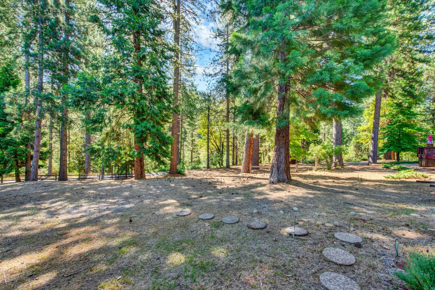 27128 Manzanita Court Pioneer CA 95666