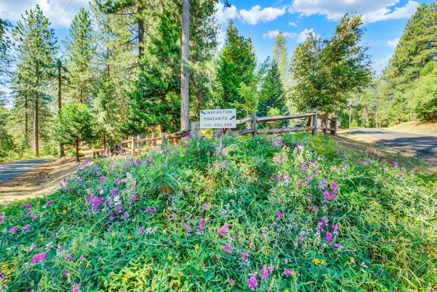 27128 Manzanita Court Pioneer CA 95666