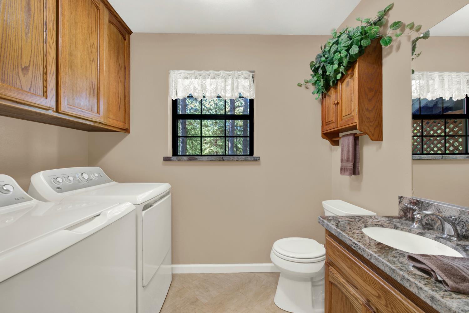 27128 Manzanita Court Pioneer CA 95666
