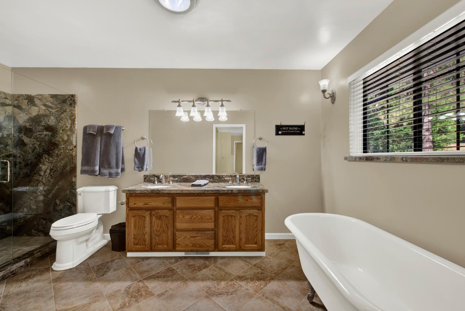 27128 Manzanita Court Pioneer CA 95666