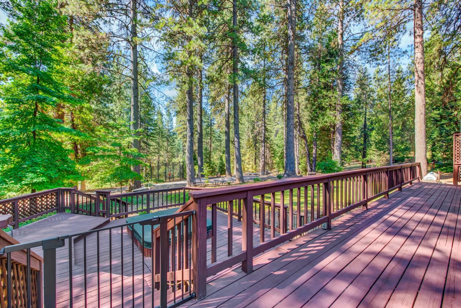 27128 Manzanita Court Pioneer CA 95666