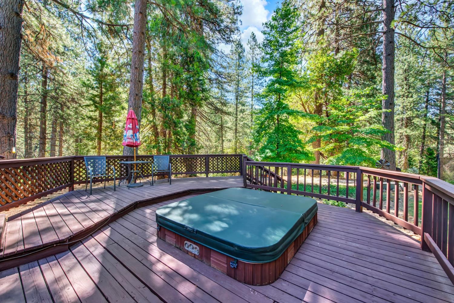 27128 Manzanita Court Pioneer CA 95666