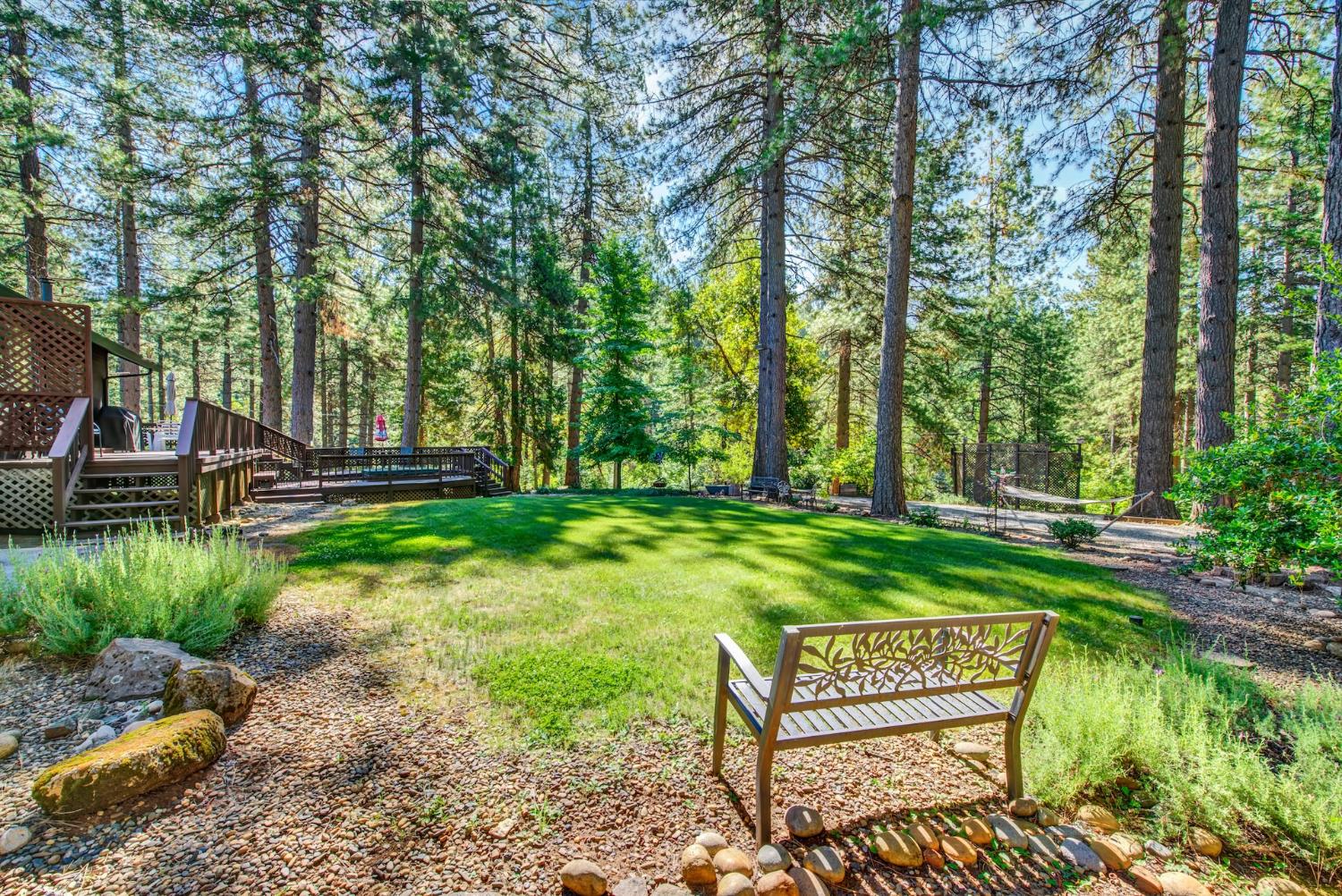 27128 Manzanita Court Pioneer CA 95666