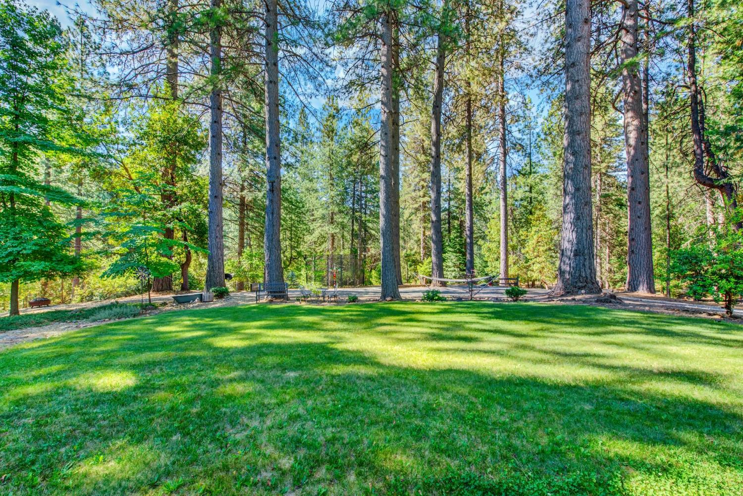 27128 Manzanita Court Pioneer CA 95666